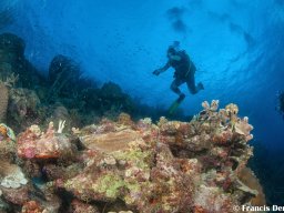 Bonaire