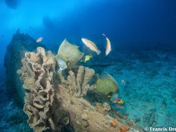 Bonaire