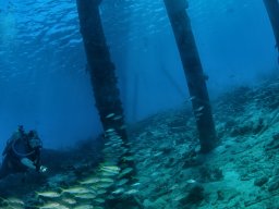 Bonaire