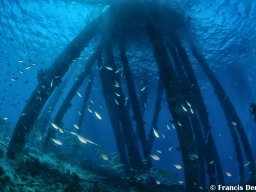 Bonaire